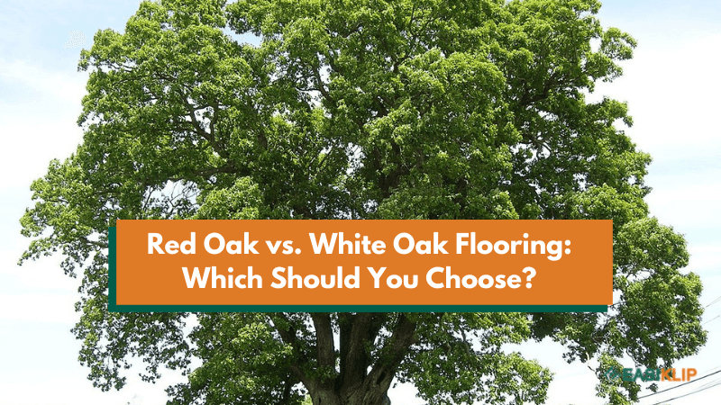 Red Oak vs. White Oak Flooring: Which Should You Choose? - Easiklip Floors